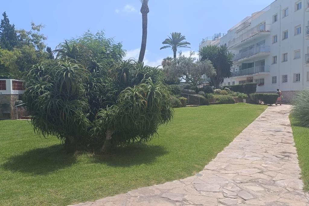 Apartamento 1ª Linea De Playa Alicante Ngoại thất bức ảnh